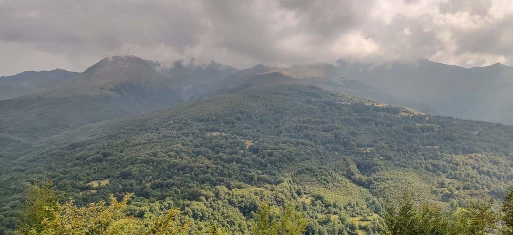 Beyond Diplomacy: The Economic Ripple Effect